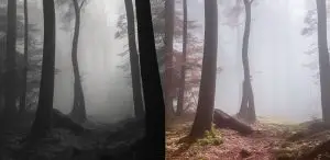 Nature's Fog Vs. Fog Machines